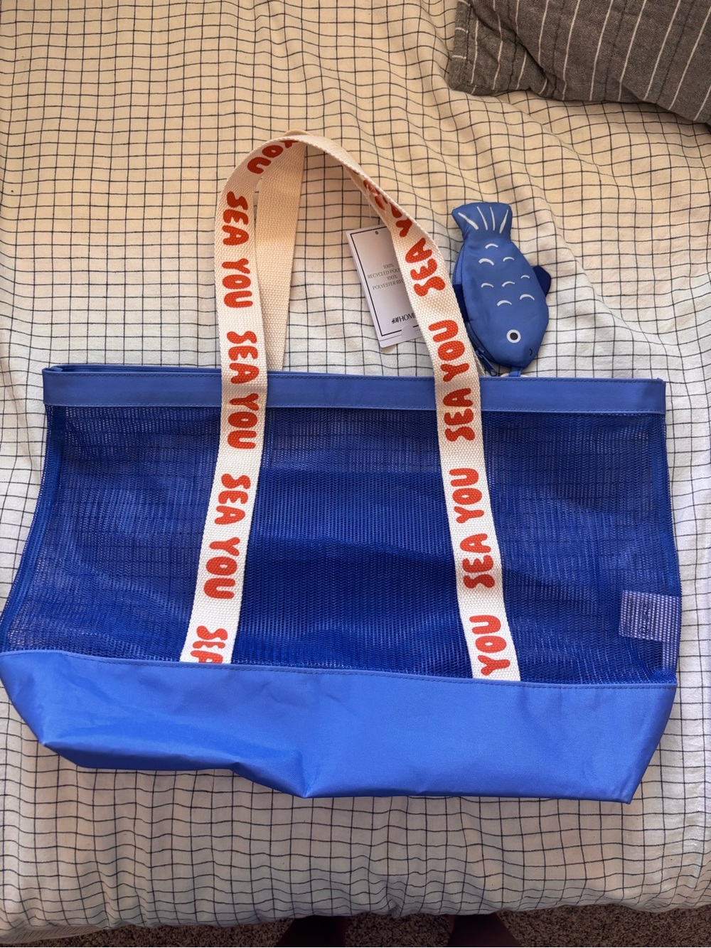 H&M Mesh Bag